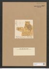 Schizonema tenne Ag. (de-Toni-Nr.: Genus 20, Species 1205) Zeichnungen Sammlung Grunow Nr. 2312 (NHMW-BOT-W0369435)